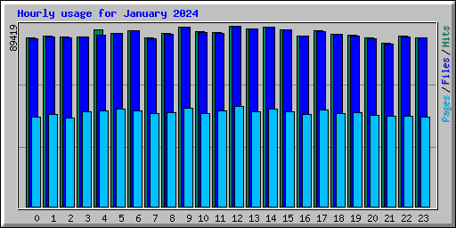 Hourly usage for January 2024