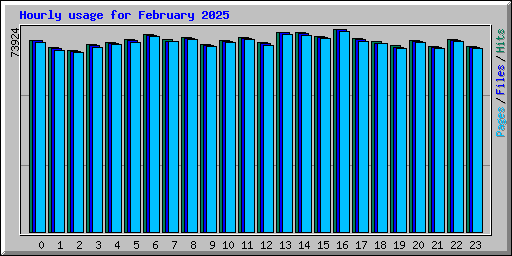 Hourly usage for February 2025