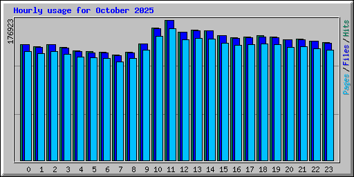 Hourly usage for October 2025